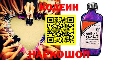 мдпв Кингисепп