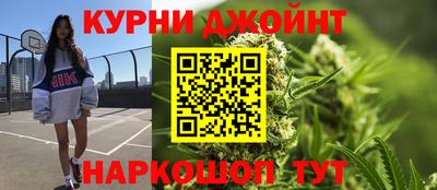 мдпв Кингисепп