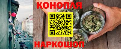мдпв Кингисепп