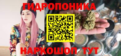мдпв Кингисепп