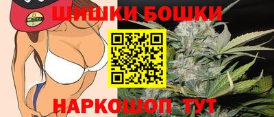 мдпв Кингисепп