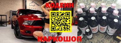 мдпв Кингисепп