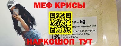 мдпв Кингисепп