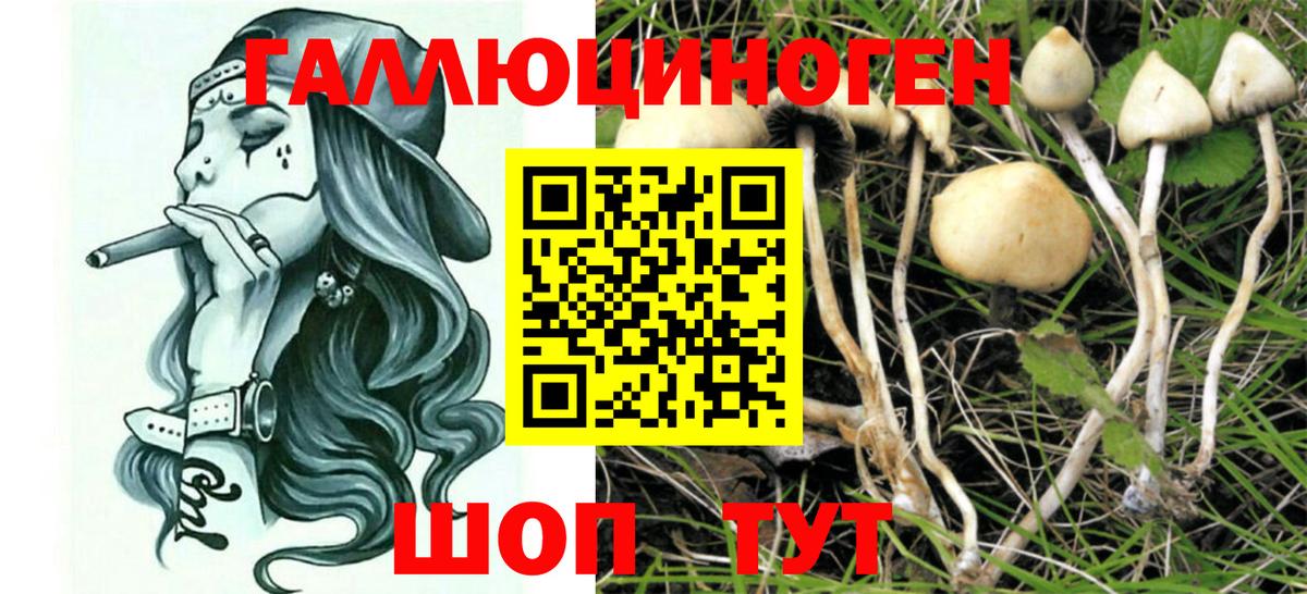 Кириши  Псилоцибиновые грибы Magic Shrooms  Вход с VPN  Псилоцибиновые грибы MAGIC MUSHROOMS 