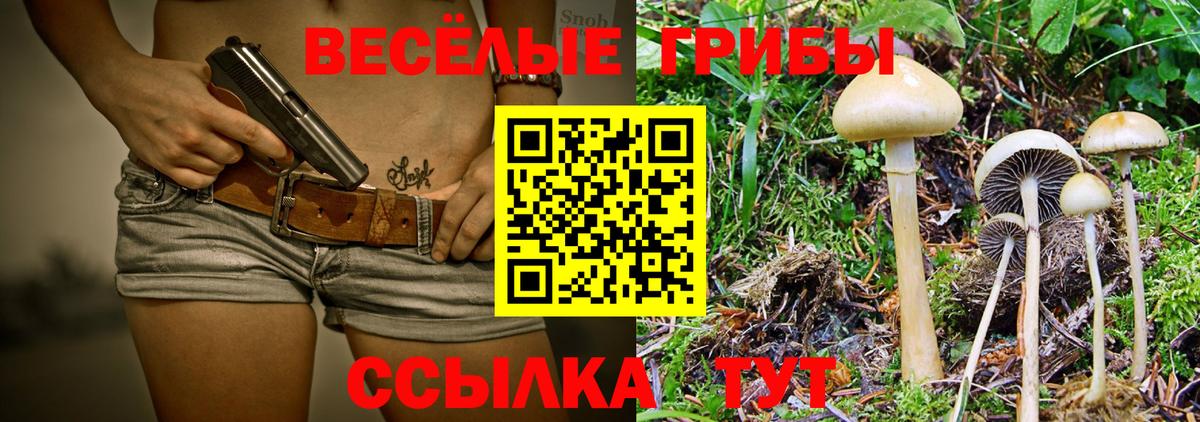 Галлюциногенные грибы Psilocybe Кириши